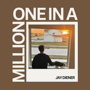 One In A Million by Jay Diener
