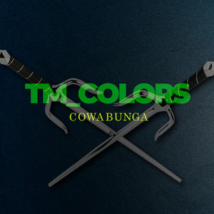 Tmnt (1987 Intro Theme Remix)