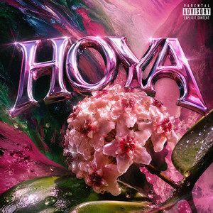 Hoya by Rades