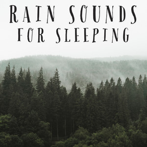 Rain To Meditate To by Nature Recordings, Natural Sample Makers, Nature Field Recordings