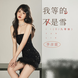 我等的不是雪 - DJ九零版 by 季彦霖