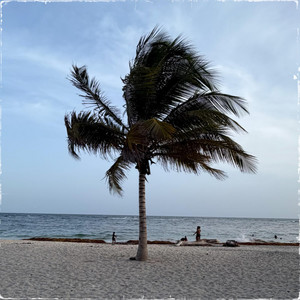 La Playa Mi Bro by G4BRIEL DR