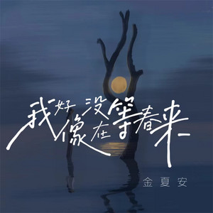 我好像没在等春来 - 伴奏 by 金夏安