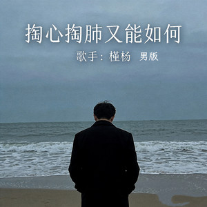 掏心掏肺又能如何 (男版)