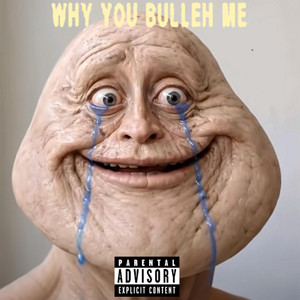 why you bully me by Vault Uploads