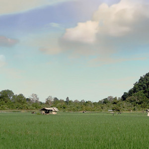 cool village