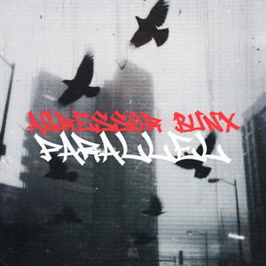 Parallel cover art