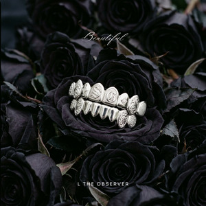 Beautiful by L the Observer