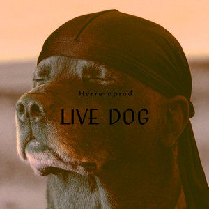 Live Dog by Herreraprod