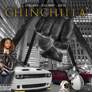 Portada de Chinchilla