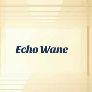 Not It by Echo Wane