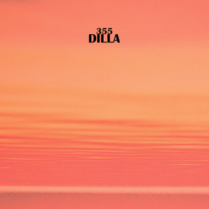 Hoodhair by 355DILLA