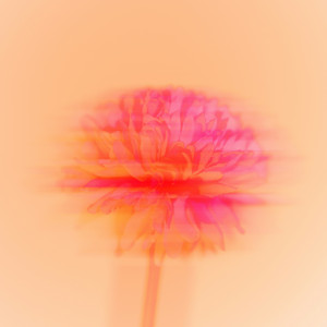 Sleepwalk Lullaby by jzbts