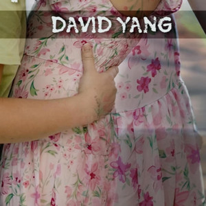 Dave Yang - Loj Npaum California