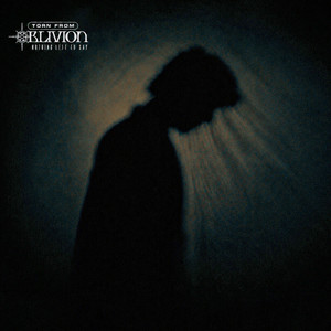 Nothing Left to Say by Torn From Oblivion