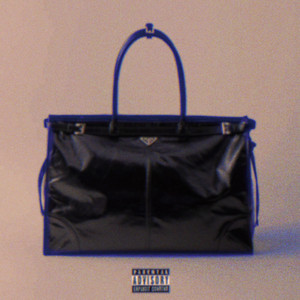 Prada Bags