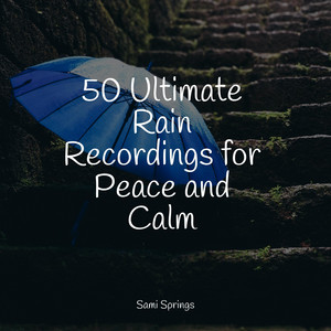 50 Perfect Rain Droplet Tracks album