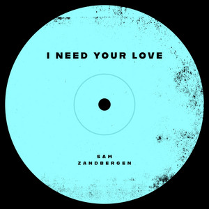 I Need Your Love