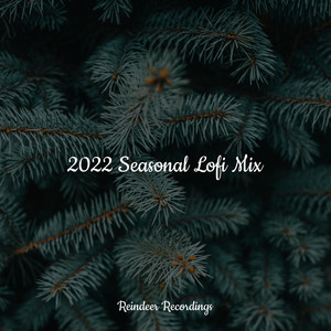 2022 Seasonal Lofi Mix album