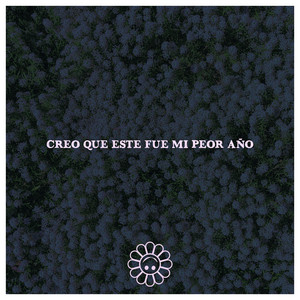 Creo Que Este Fue Mi Peor Año by FAKE HPPY