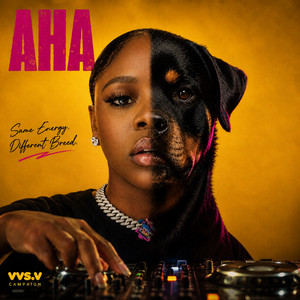 Aha by Vvs.v
