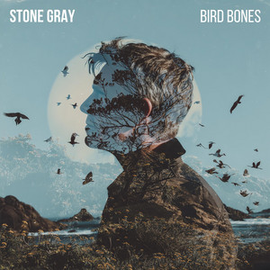 Bird Bones by Stone Gray