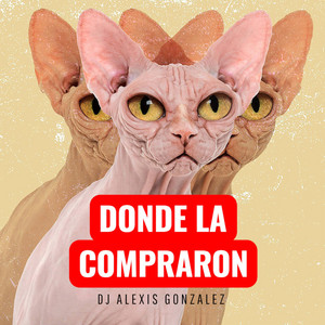Dj Alexis Gonzalez - Donde la compraron