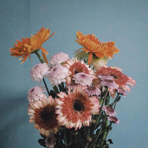 Pink Flowers by Lea Monet