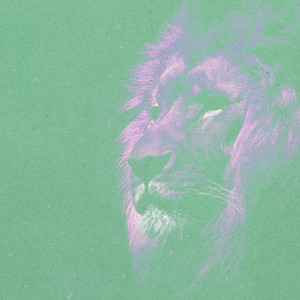 Hiko - I'm Not Scared of Lions, Tigers & Bears (Sped Up)