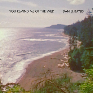 you remind me of the wild by Daniel Baylis