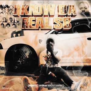 Vs & Cats (Babyfxce E & 7Mile WB) by BBE Cam