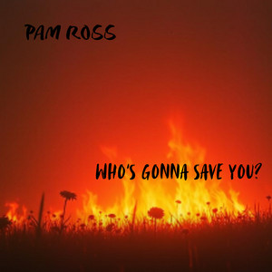Who's Gonna Save You? by Pam Ross