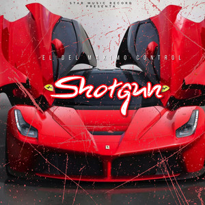 Shotgun