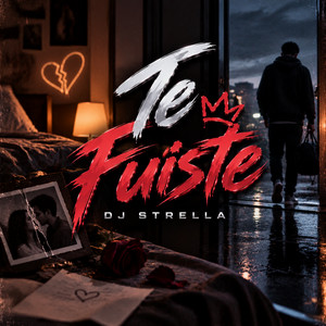 Te fuiste by Dj Strella