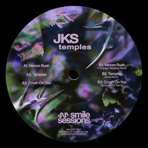 Venom Rush - A Strange Wedding Remix by JKS, A Strange Wedding