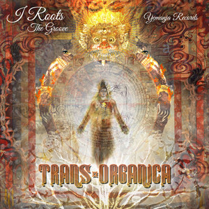 The Groove - Trans-Organica
