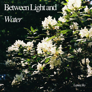 Between Light and Water by Lorien Sky