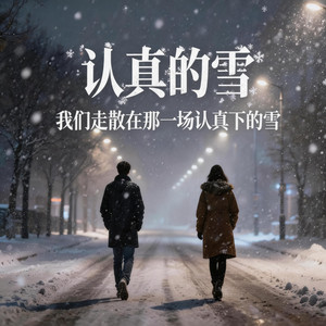 认真的雪 by 夜舟 Night Boat