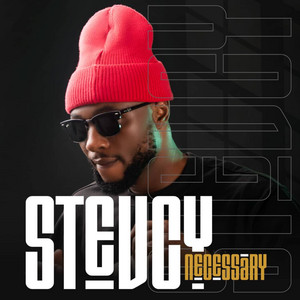 Necessary by Stevcy