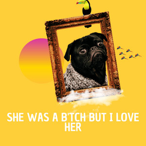 She was a B'tch but i love her by Young Mikkel
