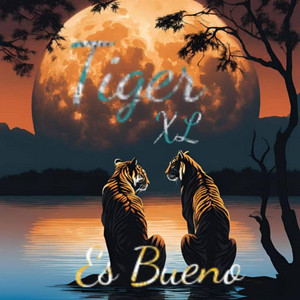Tiger XL - If Its The End
