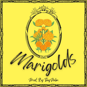 Portada de Marigolds