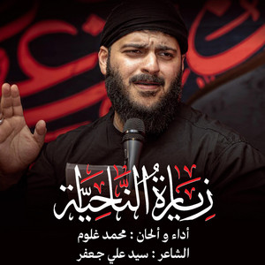 محمد غلوم - زيارة الناحية - محمد غلوم