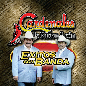 Éxitos Con Banda