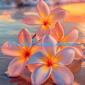 Sea South - Our Last Known Address