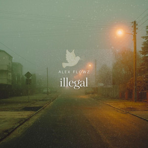 illegal