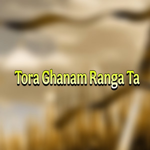 Tal Saleh - Pat Pat Shaitanan