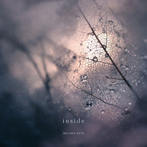 Inside by Melinda Sütő