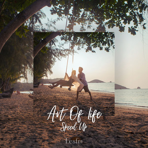 Art of life Speed Up