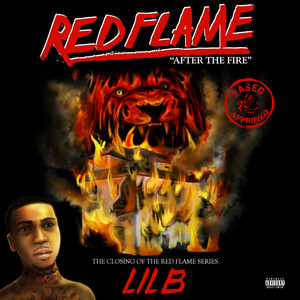 Sometimes I Rhyme Slow by Lil B